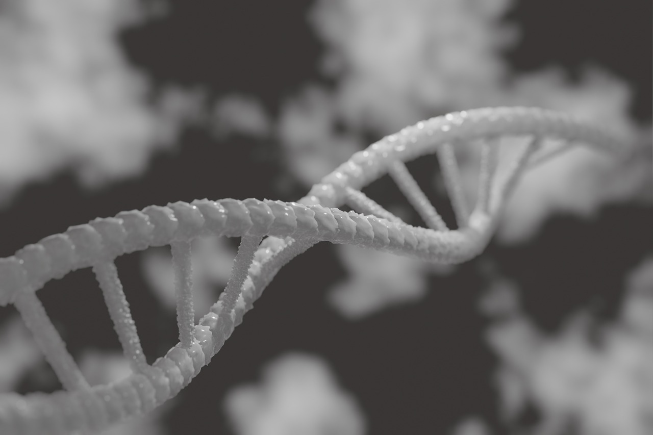 dna, 3d, laptop wallpaper, biology, genetic, windows wallpaper, research, biotechnology, cool backgrounds, gene, hd wallpaper, chemistry, medicine, helix, desktop backgrounds, spiral, structure, model, microbiology, medical, science, technology, scientific, 3d wallpapers, background, 4k wallpaper, backdrop, wallpaper hd, mac wallpaper, wallpaper 4k, genetics, cell, 4k wallpaper 1920x1080, scientist, free background, beautiful wallpaper, full hd wallpaper, laboratory, free wallpaper, microscope